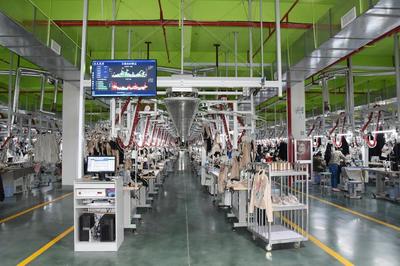 新动能澎湃新活力！桐乡今年引进数字经济项目253个，网络技术服务引领转型